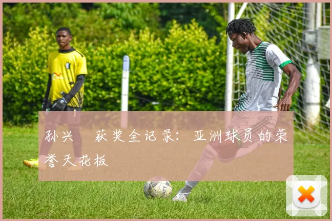 孙兴慜获奖全记录：亚洲球员的荣誉天花板