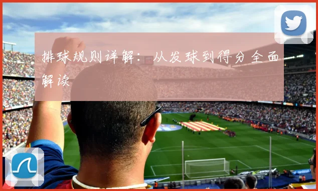 排球规则详解：从发球到得分全面解读